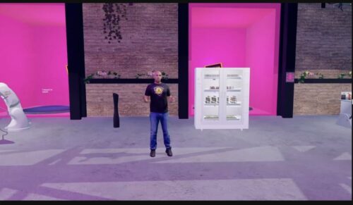 Vladimir Puhalac, Gründer und Geschäftsführer der Doob Group AG, ließ seinen Avatar aus dem Metaverse referieren. (Foto: Screenshot)