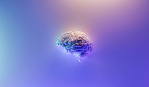 Erkenntnisse aus Psychologie und Gehirnforschung helfen beim Verkaufen. (Foto: Fakurian Design auf Unsplash)