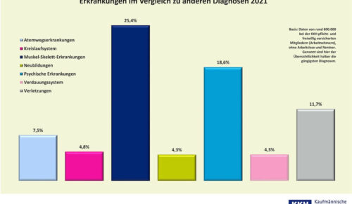 Prozentualer Anteil der Fehltage aufgrund von Muskel-Skelett-Erkrankungen im Vergleich zu anderen Diagnosen. (Grafik: KKH)