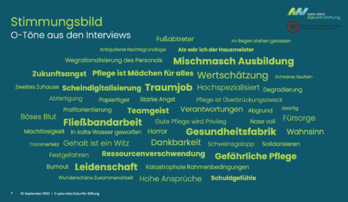 Stimmungsbild aus der Branche: Das sagen Pflegekräfte. (Screenshot aus der Studie: Opta Data)