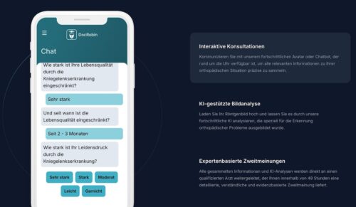 Der Avatar stellt Fragen zu Schmerzen, bisherigen Behandlungen und Mobilitätseinschränkungen. (Foto: Screenshot der docrobin.net)