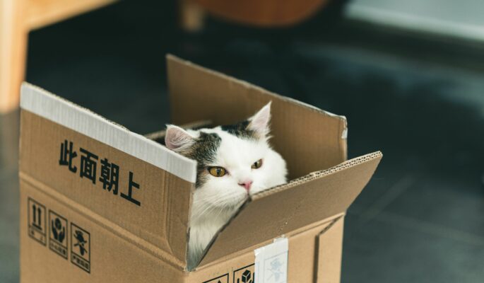 Die neue EU-Verpackungsverordnung ist für viele Branchen relevant. (Foto: Unsplash)